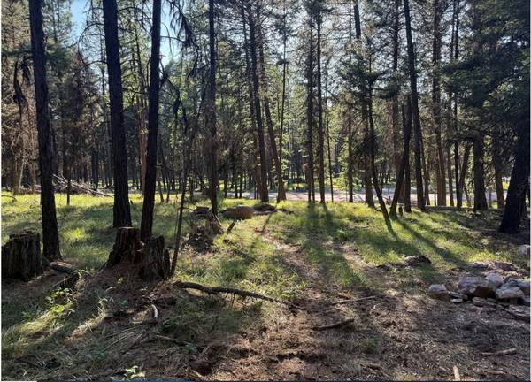 $139,000 / 101000ft2 - 2.3 Acres of wooded land in Seeley Lake, MT (Seeley Lake)63657010253187123