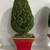 Decorative shelf topiaries 4 thumbnail