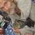 Missing mother Kitty 9 thumbnail