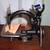 Willcox and Gibbs Treadle Chain Stitch Sewing Machine Antique 1 thumbnail