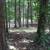 TABLEROCK LAKEFRONT LOT 75 X 115 FOOT 7 thumbnail
