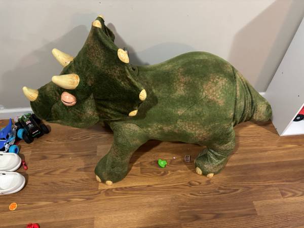 Kota the Triceratops 1