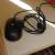 computer mice 1 thumbnail