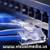 ACCESS CONTROL/MAGLOCKS INSTALLATION/Cat5 & Cat6 Cabling 2 thumbnail