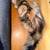 Kitty 8 thumbnail