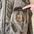 Volcom Transition Sno Army Jacket Vintage Medium Snowboarding 4 thumbnail