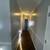Charming Single Unit in Baton Rouge | 9477 Lansdowne Rd | $1250/mo 12 thumbnail