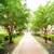 OPEN HOUSE SUNDAY 11AM-4PM - Studios W/D, HW, Pets OK, Walk to Metro 3 thumbnail
