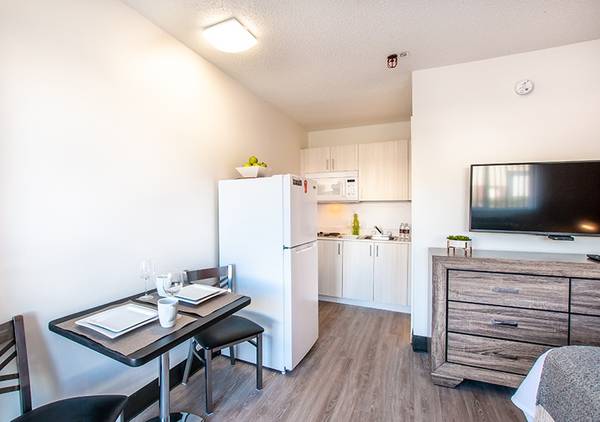 Upgraded Suite, Fully Furnished, Studio 1BA 1