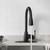 Project Source Matte Black 1-Handle Kitchen Fauce 2 thumbnail