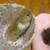 Holland Lop Looking for forever home. 7 thumbnail
