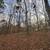 🏡 1.42 Acre Build-Ready Lot – Trinity, NC – Permits & Utilities Ready 8 thumbnail