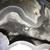 Geodes, Petrified wood etc Ad #2 of 7 2 thumbnail