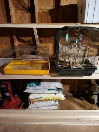 BIRD CAGE AND GUINEAPIG CAGE - $25 (Cumming)63441269334147120