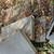 7 bluestone treads +  1 pallet of Fieldstone 1 thumbnail