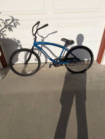 Magna Rip Curl Bicycle 1