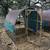 Mobile Chicken Coop/Chicken Tractor/Hoop House with Layer Hens 5 thumbnail