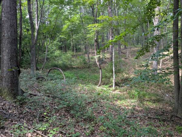 $37,500 2.5 Acres Of Woods (Paw Paw)63953077599362123