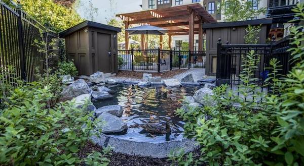 $2,262 / 1br - 737ft2 - Outdoor pool with sun shelf, Full size washer and dryers, Gas range (Lake Oswego)63820739730051122