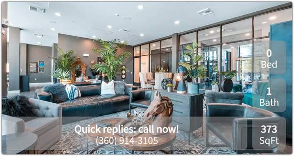 $1,695 / 373ft2 - Beautiful Capitol Lake Facing Studio Apartment! (Olympia)63688608092929121
