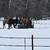 Horses boarded, horse boarding horse, pasture 2 thumbnail