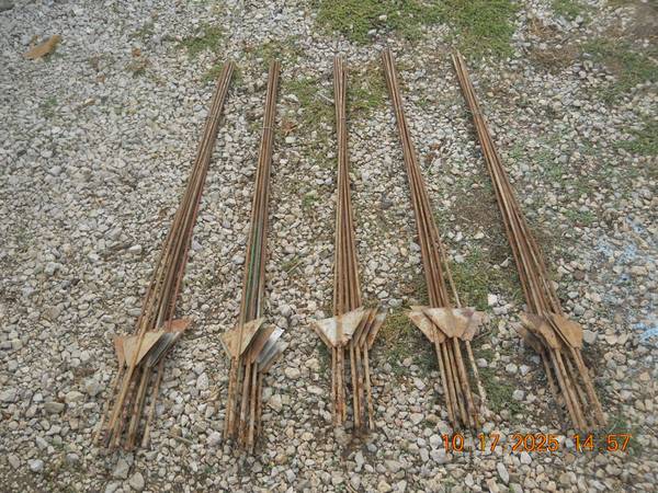 Electric fence post 1