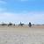 Horse Boarding Santa Cruz 1 thumbnail