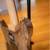 PRA CE24-08 Black Limba Only 400 Produced Made In USA 4 thumbnail