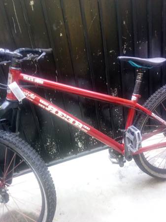 Reeb Squeeb Bike 1