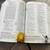 NEW Following Jesus Bible! 5 thumbnail
