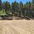 4.8 ac land property for sale borders public land, trees, views, mtns 17 thumbnail