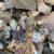 The Gold Bug Mine/ 20-acre mining property/Owner Financing available 6 thumbnail