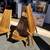 OLYMPIA MELINO WOOD FOLDING CHAIR 11 thumbnail