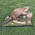 Taxidermy 7 thumbnail