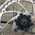 Bontrager 700 C rims from Trek FX 4 thumbnail