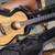 Breedlove Guitar US made Myrtlewood - Myrtlewood Oregon Concert CE 1 thumbnail