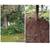 🌞🍃🌳Pro landscaping LLC🌳🍃🌞 1 thumbnail