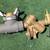 3" hydrant meter w back flow prevention 1 thumbnail