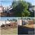 🛑 Turf | Concrete | Irrigation | Walls | Demo | Sod | Pavers | Lighting 1 thumbnail