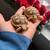 Baby sulacata tortoise (land) 6 thumbnail
