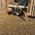 Chickens 5 thumbnail
