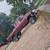 Zf6 6-speed manual 4x4 7.3 diesel 1 thumbnail