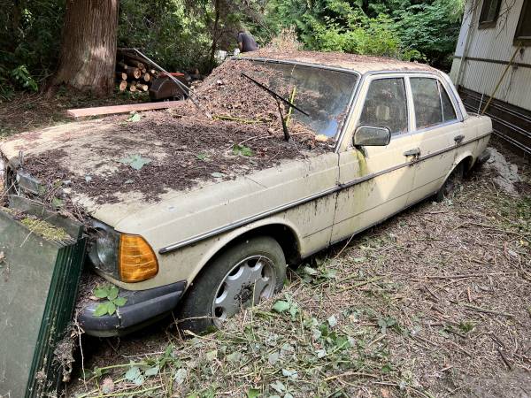 1977 Mercedes-Benz 300D W123 - $400 (Oak Harbor)63475070572547123