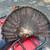 FANNED OUT TURKEY FEATHERS 2 thumbnail