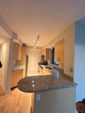 $2,350 / 1br - 890ft2 - Wonderful 1 bed with washer/dryer in unit, hw floors, & rooftop pool (South Loop)64041642784899121