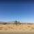 NE Corner Heavy Agricultural 2.5 Acres Open To Best Offer 1 thumbnail