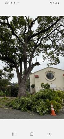 Thanksgiving food bags 1