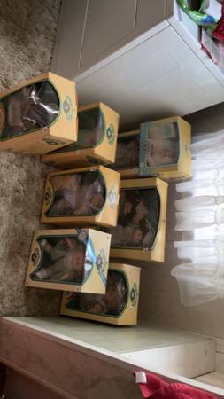 8 cabbage patch dolls 1