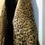 Leopard faux fur coat by (Expressions) Vintage 2 thumbnail