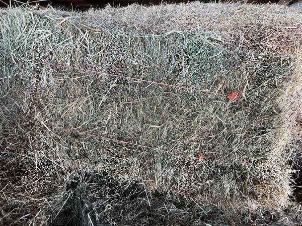 Hay for sale 1